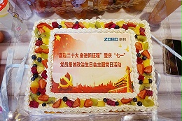 ZOBO卓邦党支部构造“七一”党员个人政治诞辰会暨共同庆贺香港回归25周年